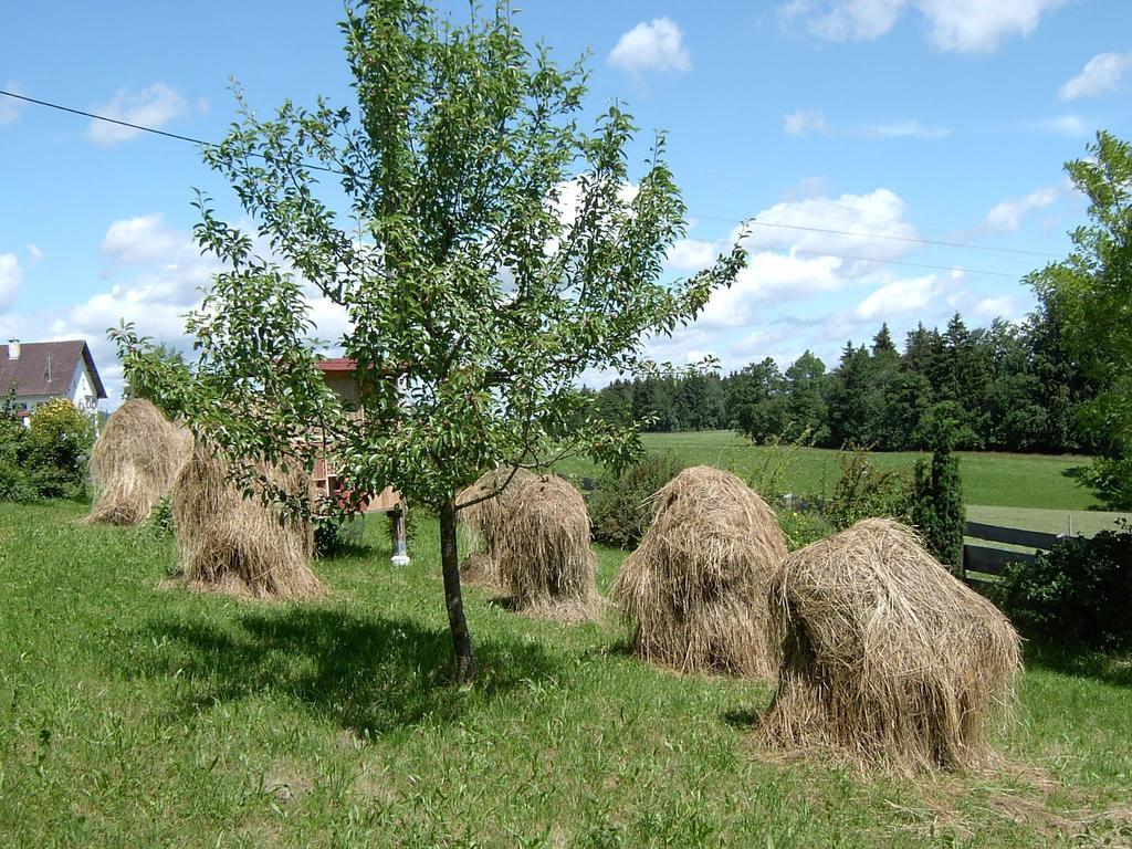 Ferienwohnung Freissl Ротенбух Стая снимка
